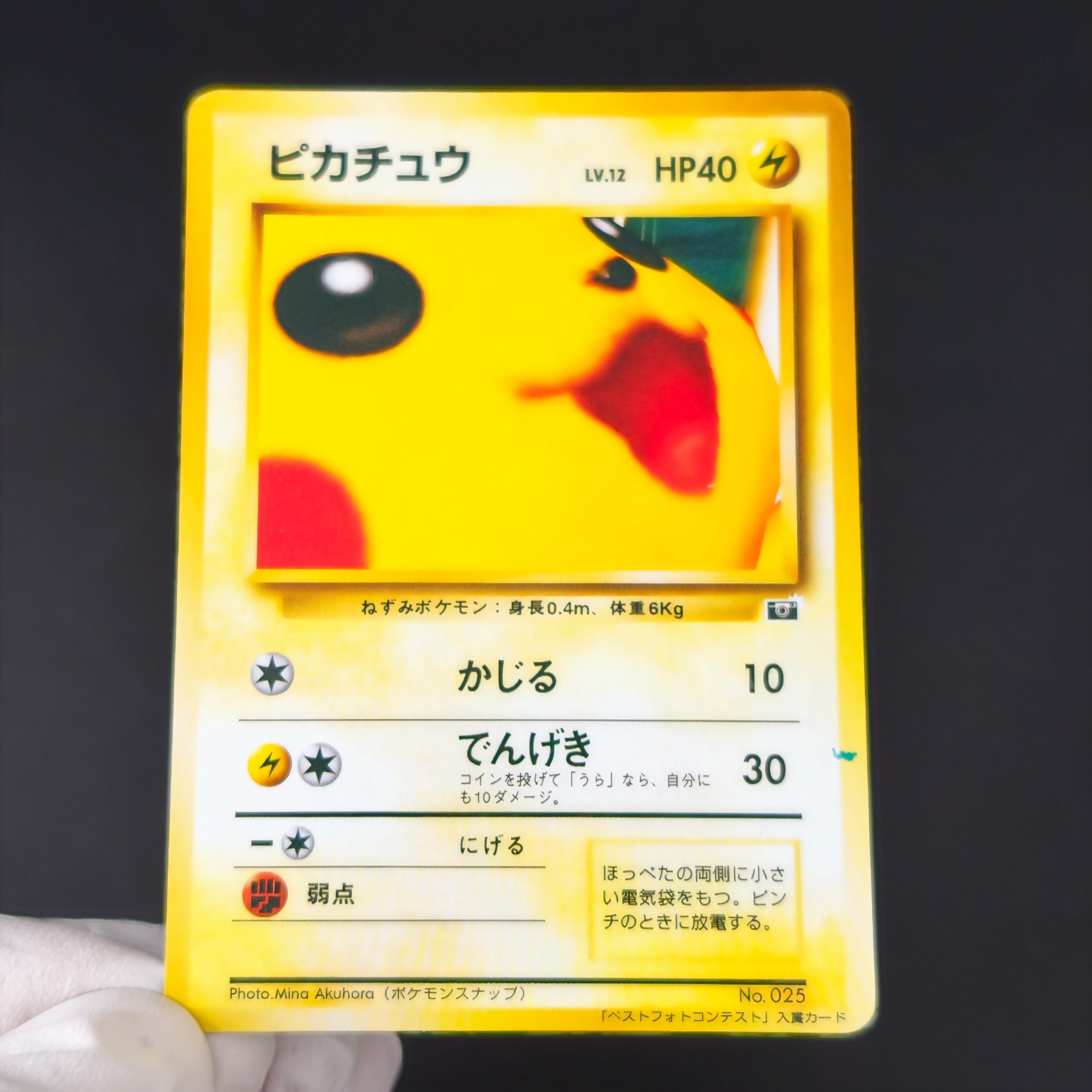 Vintage Pokemon Collectible - 10 Cartas Colecionáveis Pokémon Vintage: Bulbasaur,