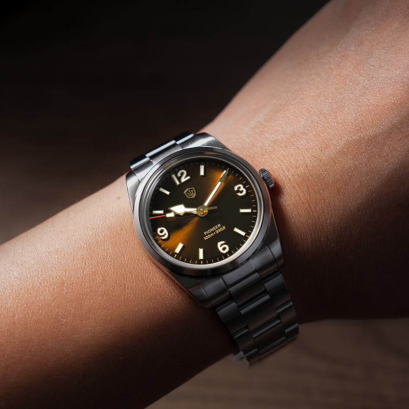 Watchdives wd1960s v2 relógio  - Vintage Watch Collecting avaliação e preço